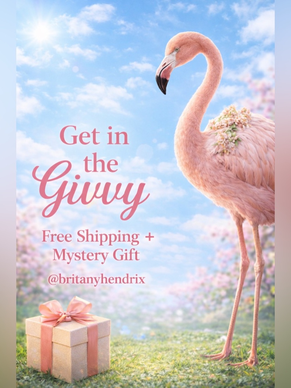 Free Shipping + Mystery Gift!
